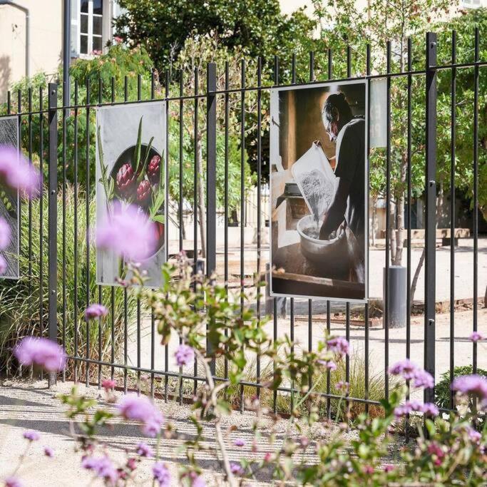 Taote - Studio Avec Terrasse Au Coeur De Ville Brignoles Eksteriør bilde
